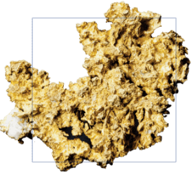 Gold Nugget